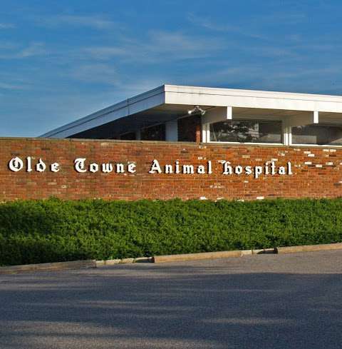 Jobs in Olde Towne Animal Hospital - reviews